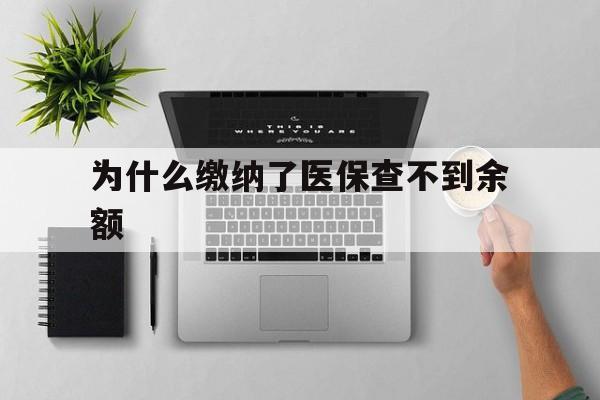 兴安盟最新为什么缴纳了医保查不到余额方法分析(最方便真实的兴安盟医保交了费怎么查不到方法)